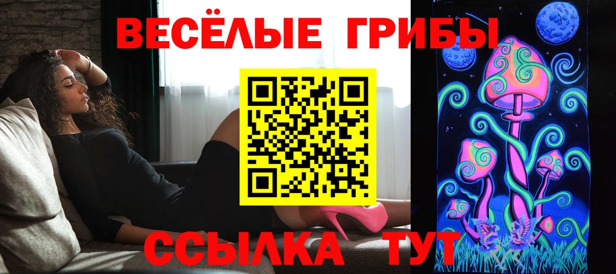 Псилоцибиновые грибы мицелий Алейск